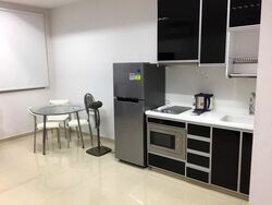 Joo Chiat Road (D15), Apartment #517949991